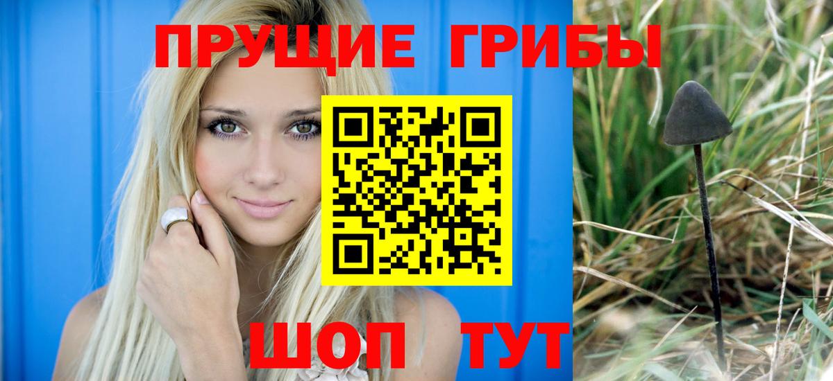 Галлюциногенные грибы ЛСД  Богородск 